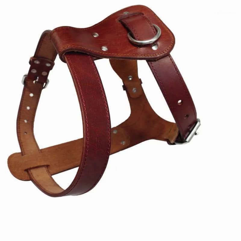 Luxury Genuine Dog Leather Harness