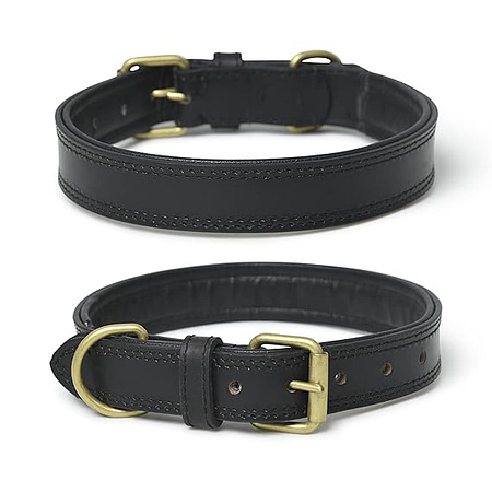 Premium Leather Dog Collar